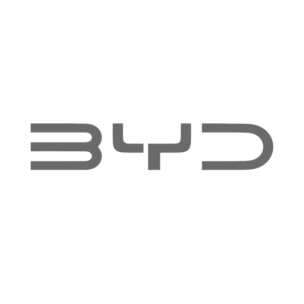 BYD 4x4
